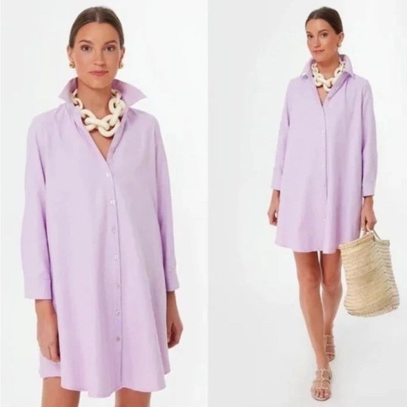Tuckernuck Dresses & Skirts - Tuckernuck Pomander Place Lavender Oxford Harris Long Sleeve Mini Shirt Dress, L